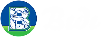 Bıdı GmbH